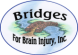 Bridges for Brain Injury